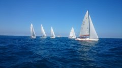 DSC_0069.jpg