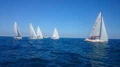 DSC_0070.jpg
