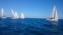 DSC_0071.jpg