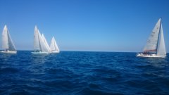 DSC_0072.jpg