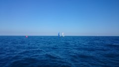 DSC_0074.jpg