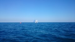 DSC_0077.jpg