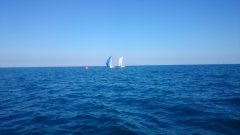 DSC_0079.jpg