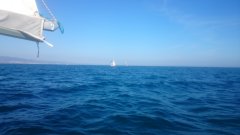 DSC_0111.jpg