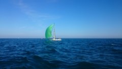 DSC_0115.jpg
