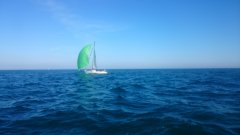 DSC_0116.jpg