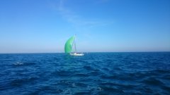 DSC_0117.jpg
