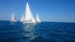 dsc_0053.jpg