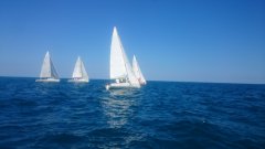 dsc_0055.jpg