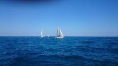 dsc_0060.jpg