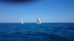 dsc_0061.jpg