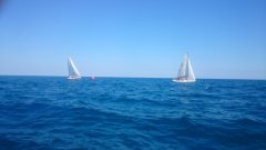 dsc_0063.jpg