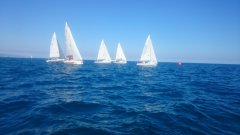 dsc_0066.jpg
