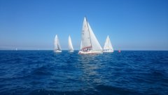 dsc_0068.jpg