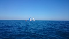 dsc_0080.jpg